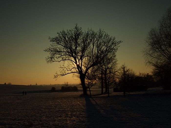 phs - Winterlandschaft Münchingen