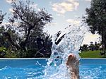 Ursula Plocher | Sommer - Sonne - Urlaub!