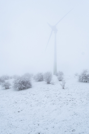  Foto: Jonathan Sch&ouml;nberger 