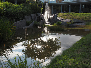 Foto: bwo   Foto: bwo