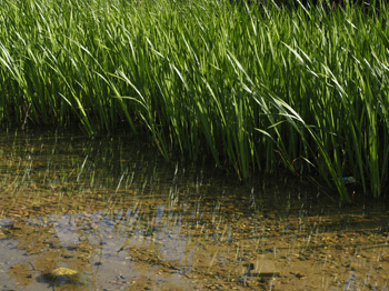 Foto: bwo   Foto: bwo