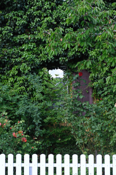 Foto: mgr   Foto: mgr