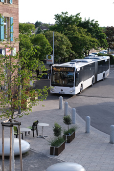 Foto: mgr   Foto: mgr