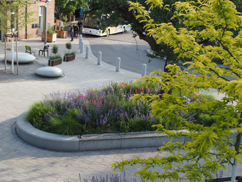 Foto: bwo   Foto: bwo